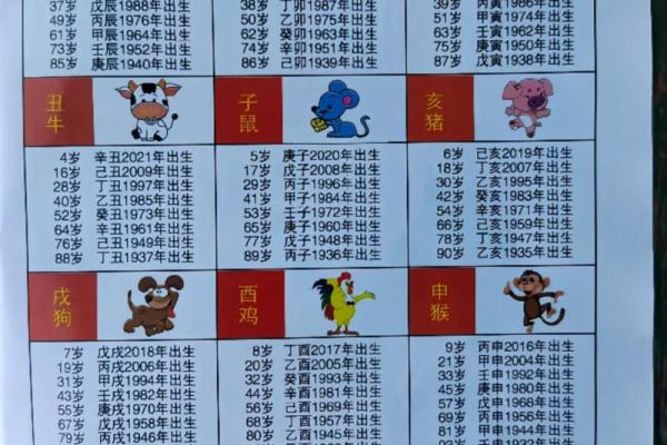 2012年出生的人现在多大了，属什么生肖？
