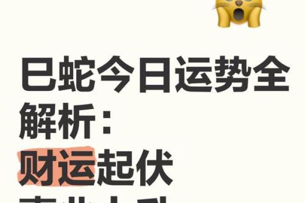 属蛇今天明天偏财运