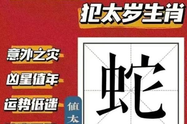 2025年属蛇的什么命