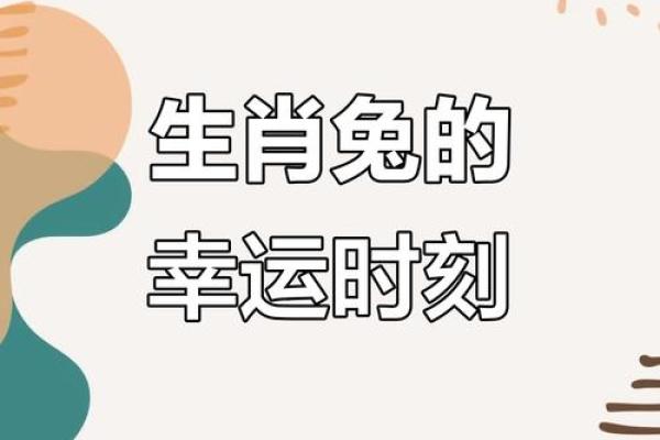 2022年属兔人全年运势详解，财运事业健康感情完整解析
