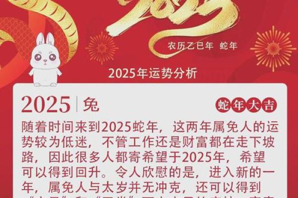 2022年属兔人全年运势详解，财运事业健康感情完整解析