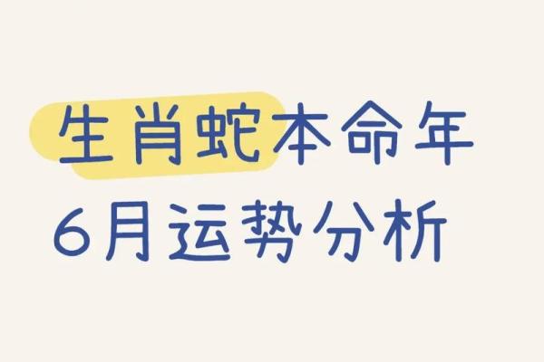 2012年生肖属蛇的人财运和事业运详解，看看明年有没有发财机会？