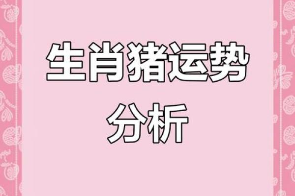 属猪的和什么属相结婚会相克？详细解析属猪的生肖相冲关系