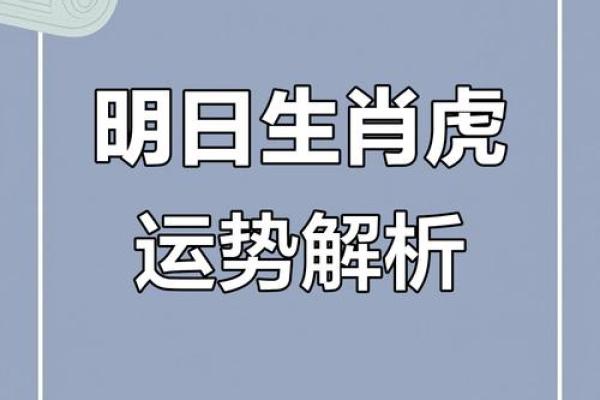 属虎的人2018年全年运势详解,财运健康事业感情完整分析 属虎的人2018年全年运势详解,财运健康事业感情完整分析