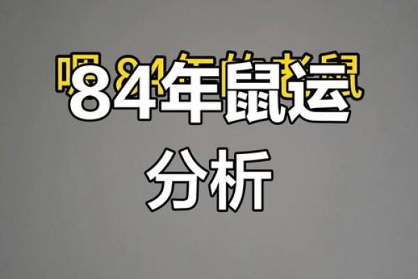 1984年属鼠人2021年每月运势详解完整版