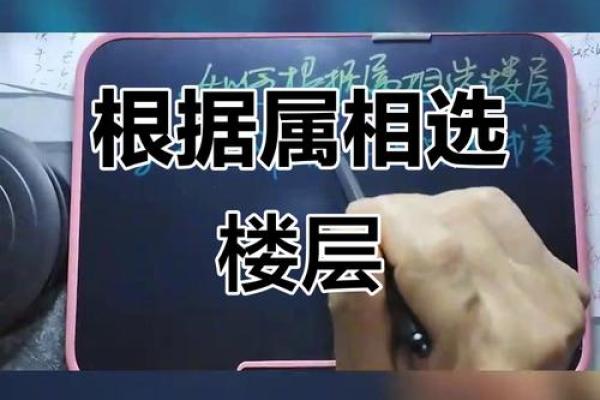 属相与楼层选择有什么讲究？如何根据生肖选吉利楼层