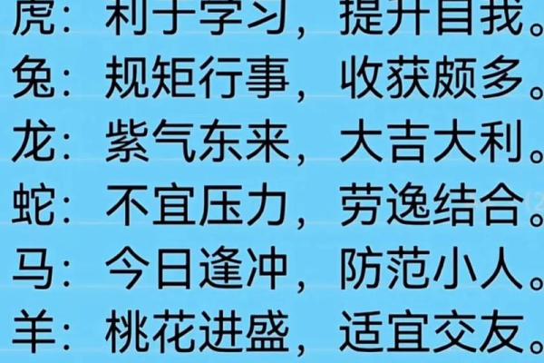 2023年十二生肖运势完整版解析与每月运程详解