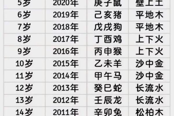 2022年农历新年是什么生肖年，春节后出生的宝宝属什么？