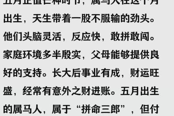 2019年出生的人属什么生肖以及性格命运解析