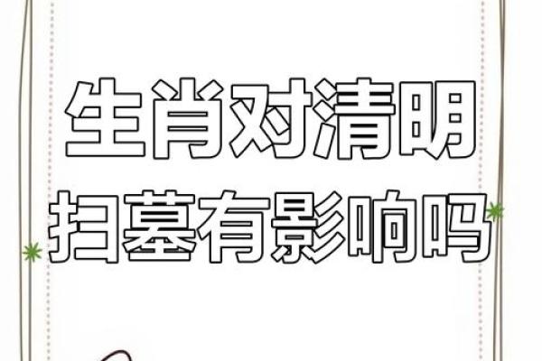 2024年清明节扫墓有哪些生肖属相需要回避禁忌