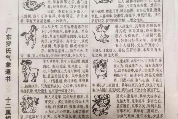 2013年蛇年十二生肖整体运势详解与流年运程分析报告