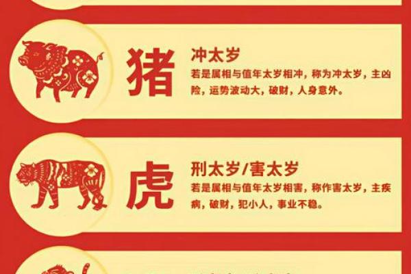 2013年蛇年十二生肖运程详解，看看属蛇人本命年如何化解太岁？