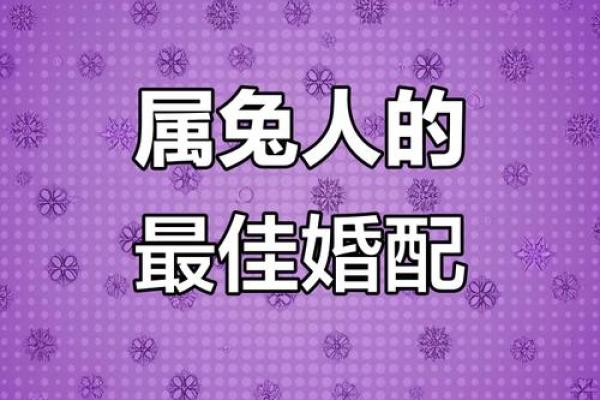 从生肖配对角度分析，属兔女和什么属相的男性结合最为和谐长久？