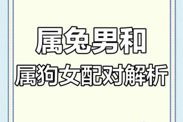 从生肖配对角度分析，属兔女和什么属相的男性结合最为和谐长久？