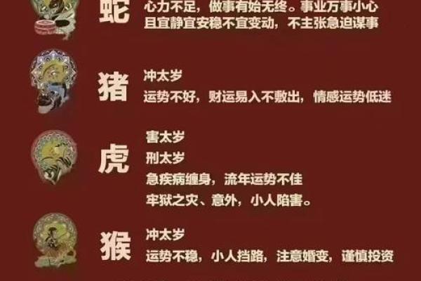 2024年龙年犯太岁的属相名单及化解方法大全 2024年龙年犯太岁的属相名单及化解方法大全