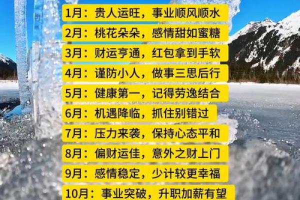 2013年属猴人运势详解及每月运程破解方法