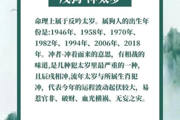 属狗的今年多大了？不同年份出生属狗人的年龄查询指南