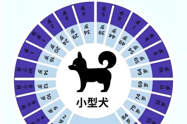 属狗的今年多大了？不同年份出生属狗人的年龄查询指南