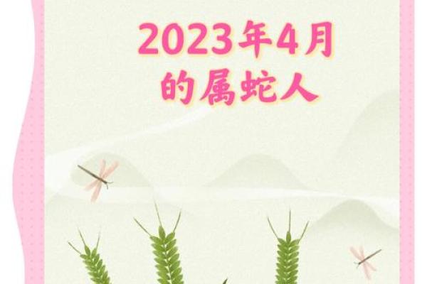 属蛇人2024年全年运势