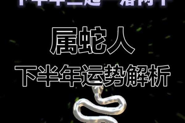 2022年属蛇人运势详解，今年会有哪些重大变化与转折点？