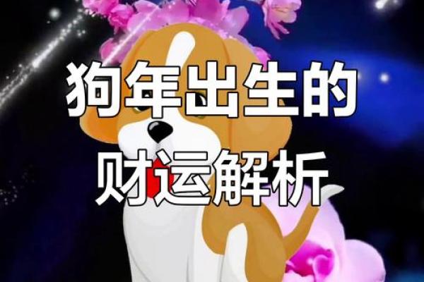 属狗的人2015年整体运势如何，事业和财运方面会有哪些机遇与挑战？