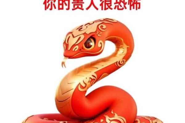 2013年属蛇人的财运和事业运详解，看看明年有哪些机遇与挑战？