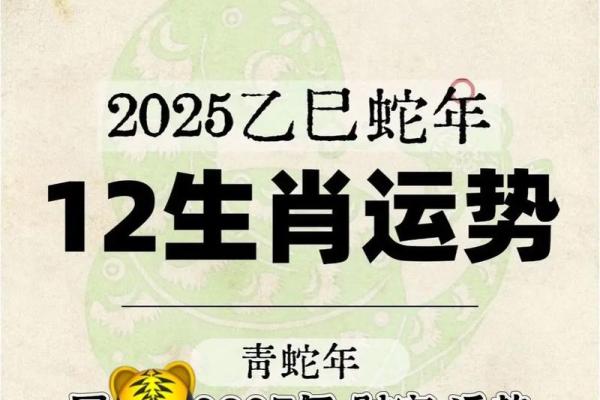 2013年属虎人全年财运事业运健康运完整分析