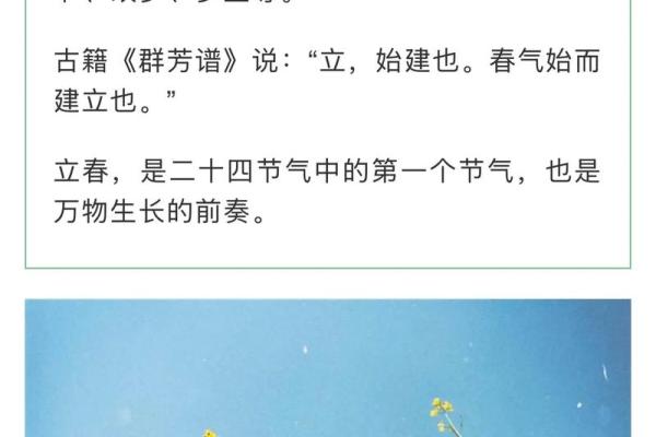 2024年立春躲春是几点到几点，属相忌讳有哪些？