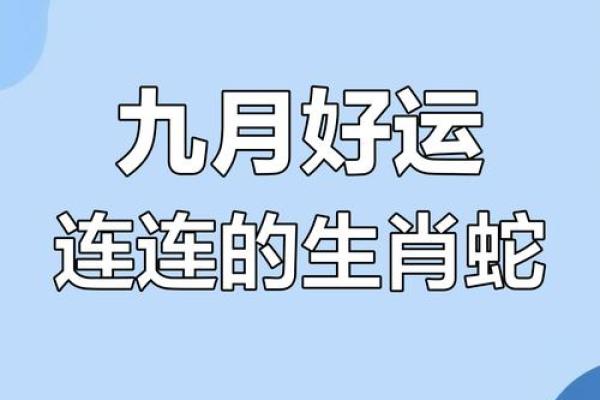 属蛇者今日感情运势怎么样？和伴侣相处有什么需要留意的