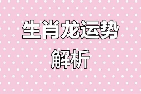 2019年生肖运势完整版排名与性格特点详细解析