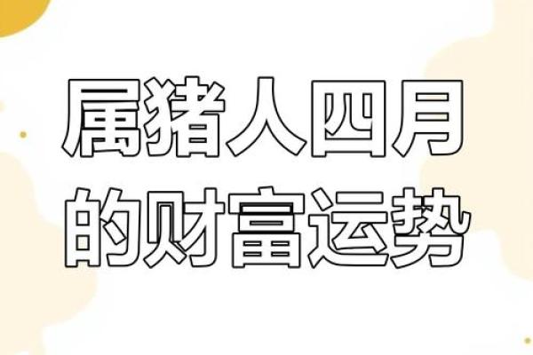 2013年属猪人财运和事业运如何，需要注意哪些问题