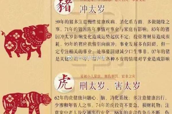 属鸡的人2023年犯太岁有哪些具体的化解方法和转运仪式？