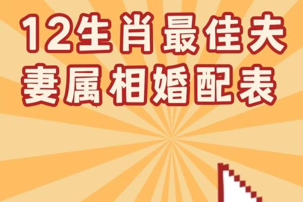 属马的婚姻命运解析：最佳配偶属相与婚配禁忌