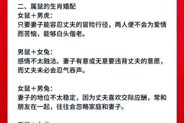 属马的婚姻命运解析：最佳配偶属相与婚配禁忌