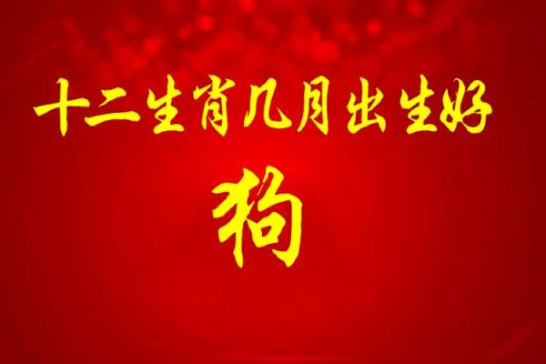 属狗的人出生年份对照表，看看你是哪一年的狗狗？