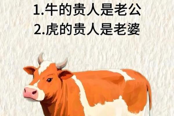 属猴人2022年虎年全年运势详解及每月运程完整版分析
