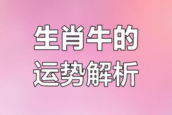 属牛的人在2021年辛丑牛年事业财运健康感情全方位运势详解