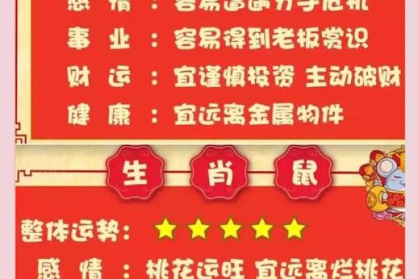 麦玲玲2013年生肖运程详解，了解全年运势与财运分析