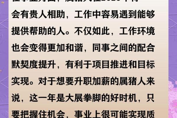 属猪的人2013年运程如何，事业财运健康感情全面解析