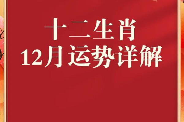 十二生肖各自适合住几层楼才能提升家庭运势？