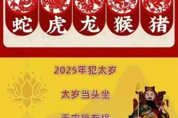 2025年属于什么蛇年
