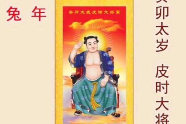 2023年属鸡的人冲太岁会有哪些具体影响和化解方法？