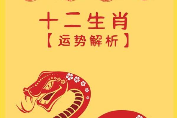 65年属蛇男2025年运势如何