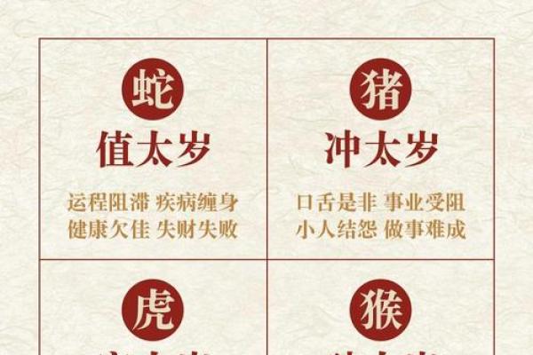 2019年属猪人的健康运势和感情婚姻运程详解，如何化解太岁影响？