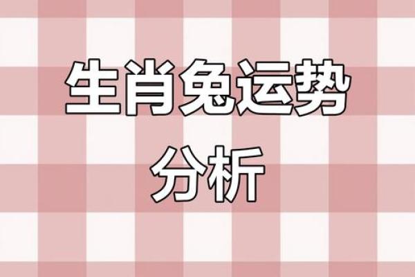 2022年属兔人的财运和事业运如何破解太岁影响的方法
