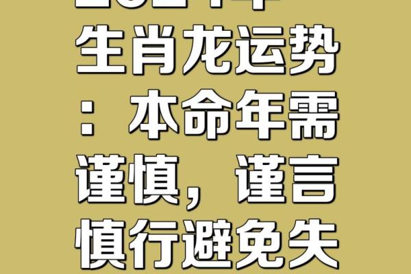 属龙人今日财运事业运势如何？2024年最新运势解析与提运建议