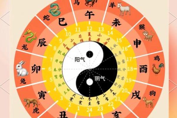 十二生肖的排列顺序是根据什么来确定的？