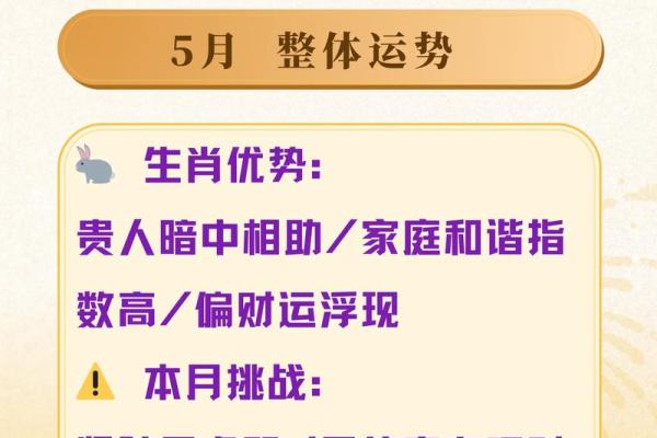 属兔人2019年全年运势详解，事业财运健康感情每月运程预测