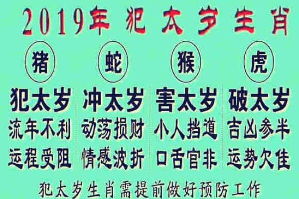 2015年属狗人的健康运势需要注意哪些方面，如何化解太岁带来的不利影响？