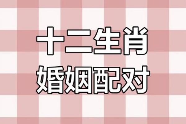 属牛男性格踏实适合找哪些属相的伴侣作为婚配对象？